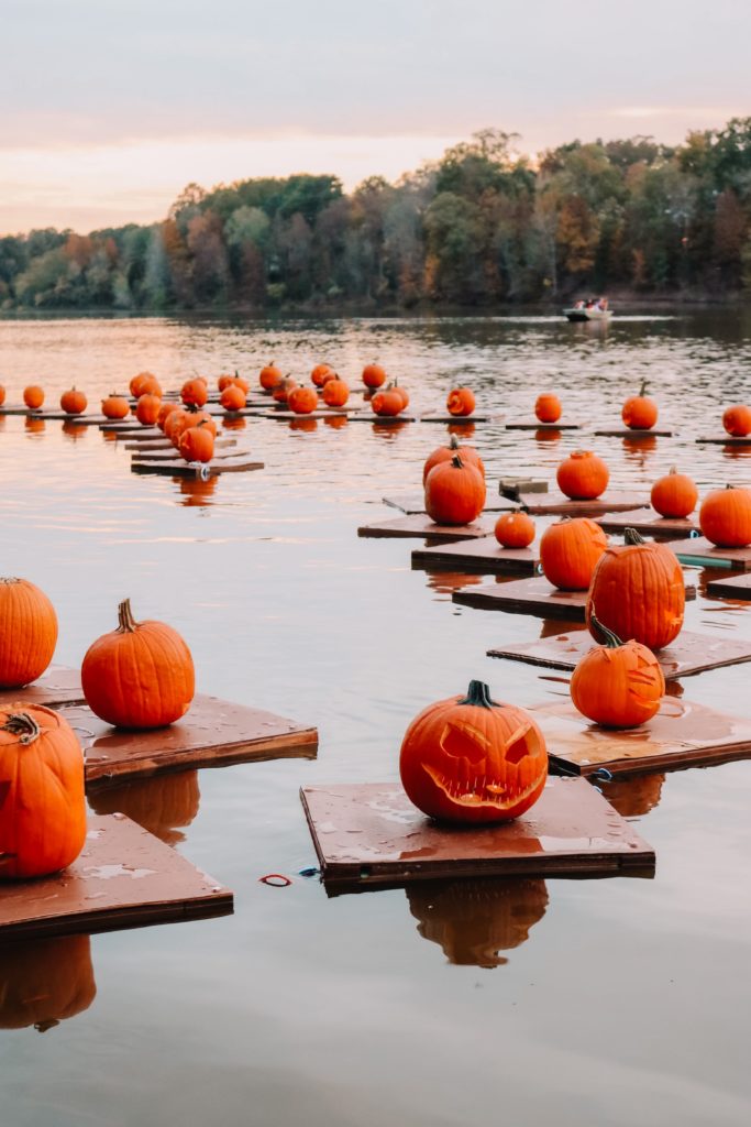 Best Places to Visit for Halloween Lovers