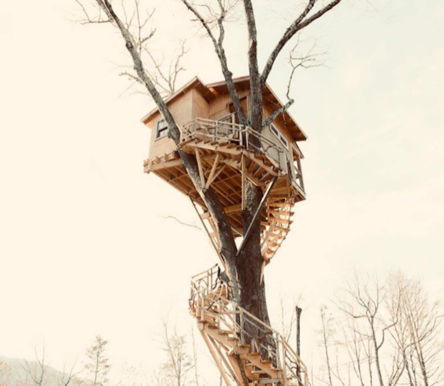 tree house airbnb